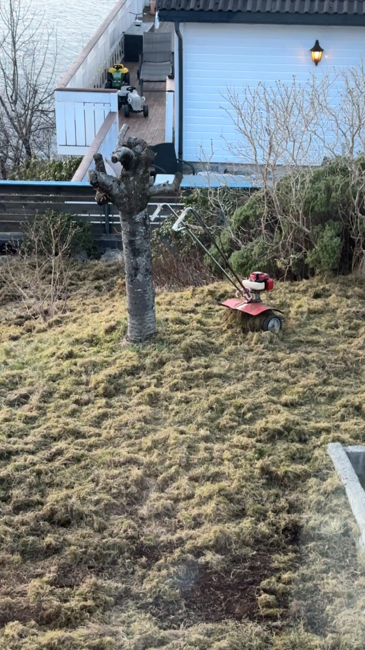 Mosefjerning og grovere klipp i bratt hage i Bergen-området